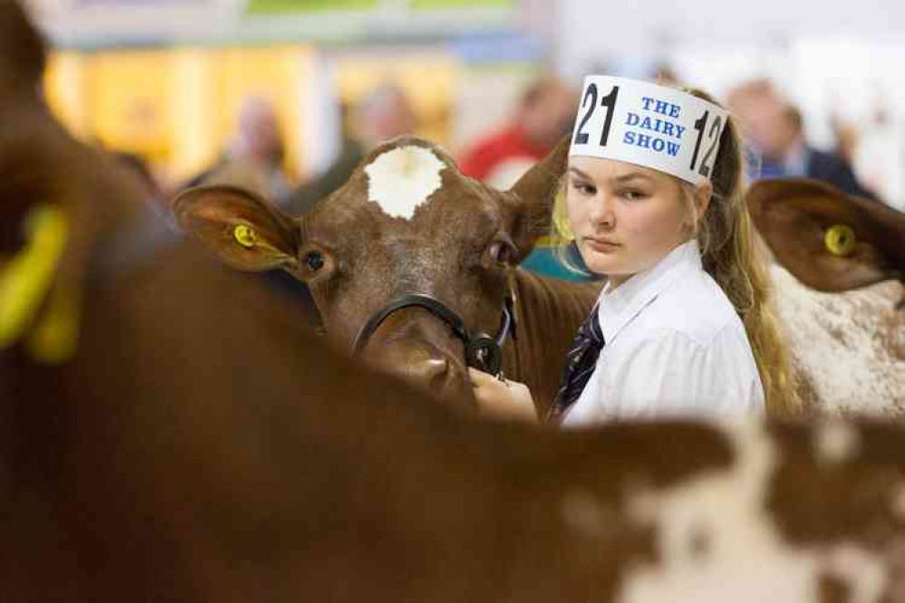 The Dairy Show will not be held this year