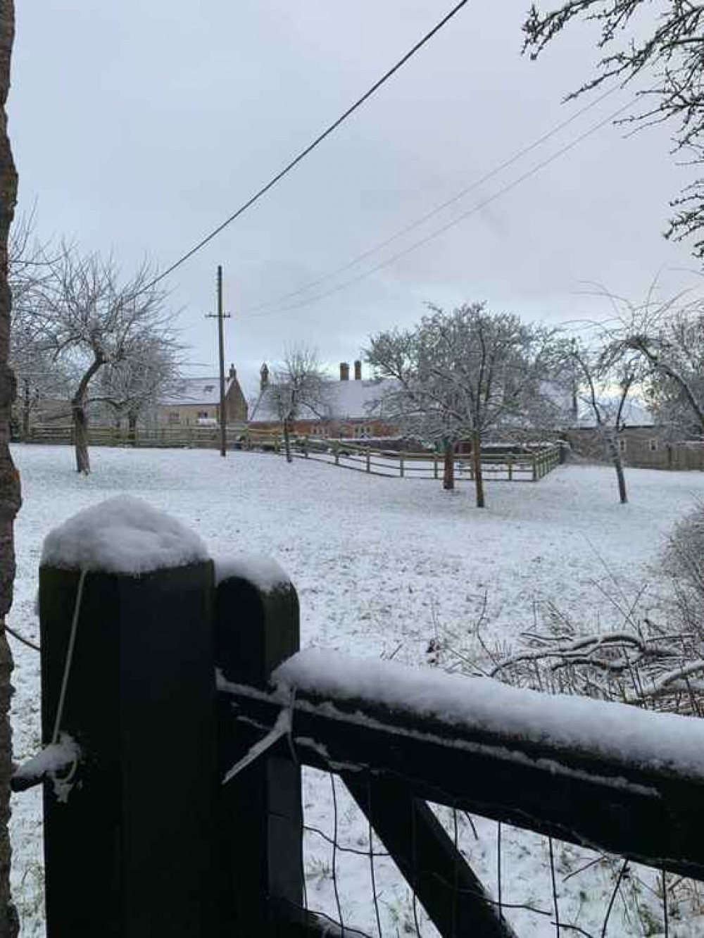 Snow in Ditcheat (Photo: Ha Rossi)