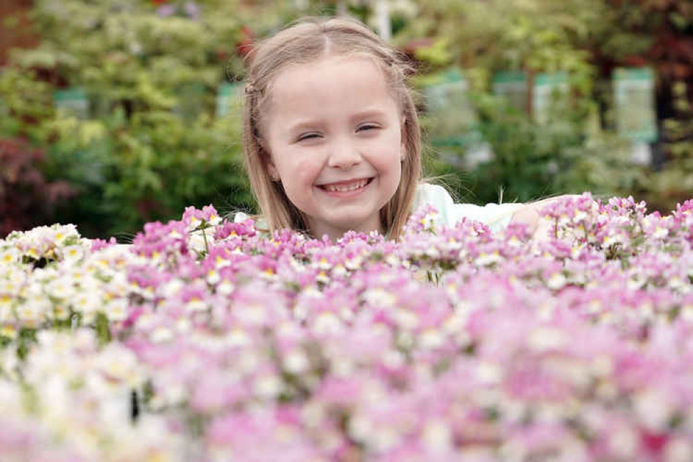 Children are being encouraged to join the Dobbies Little Seedlings Club (Photo: Stewart Attwood) Children are being encouraged to join the Dobbies Little Seedlings Club (Photo: Stewart Attwood)