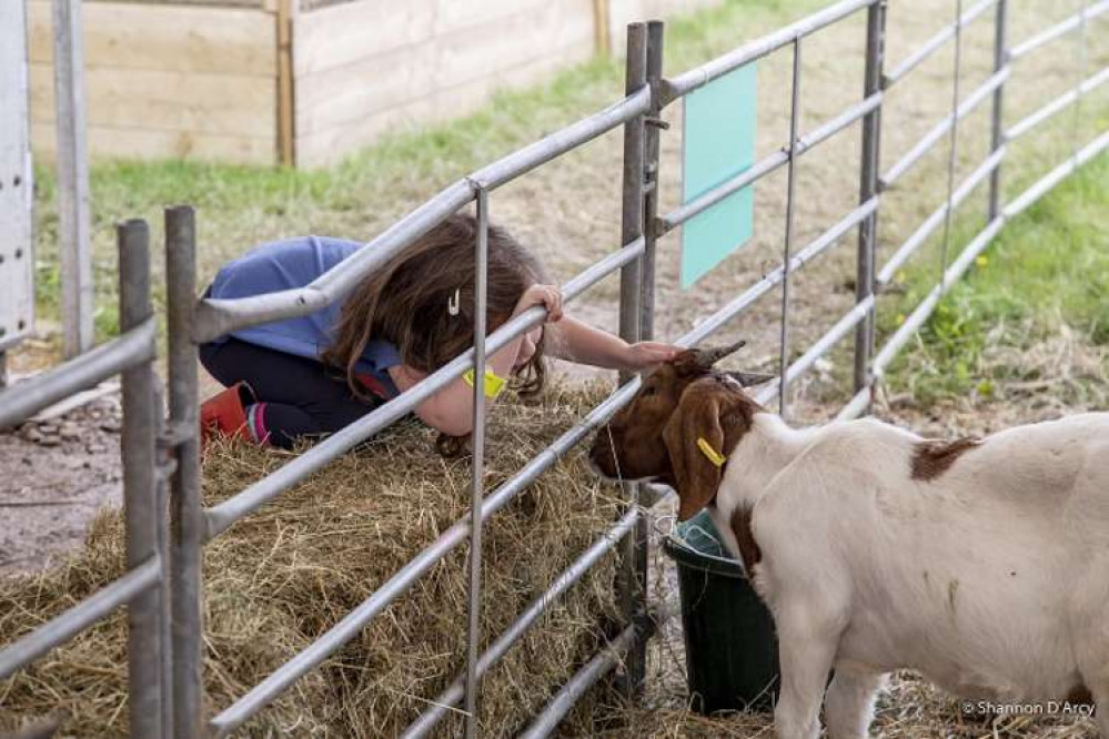 Lakeside Farm is amongst the new attractions