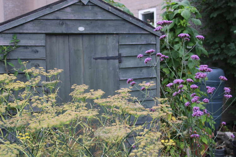 Shepton Mallet Town Council's allotments