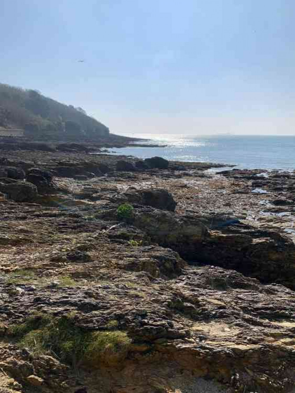 Taken by Ali Lis: "Managed to find a deserted bit of beach in Falmouth."