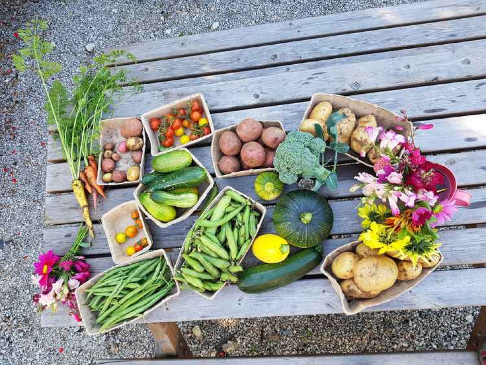 The vegetables from the garden. Credit: Julie Munro//St Mylor Church.