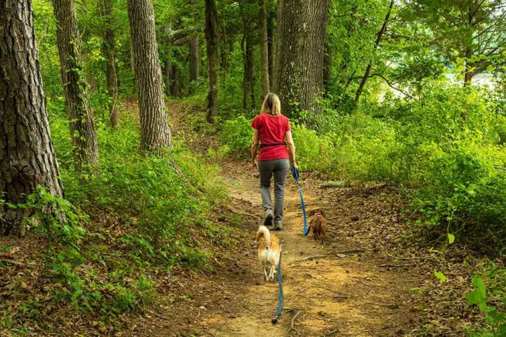 Warning issued to Falmouth dog walkers.