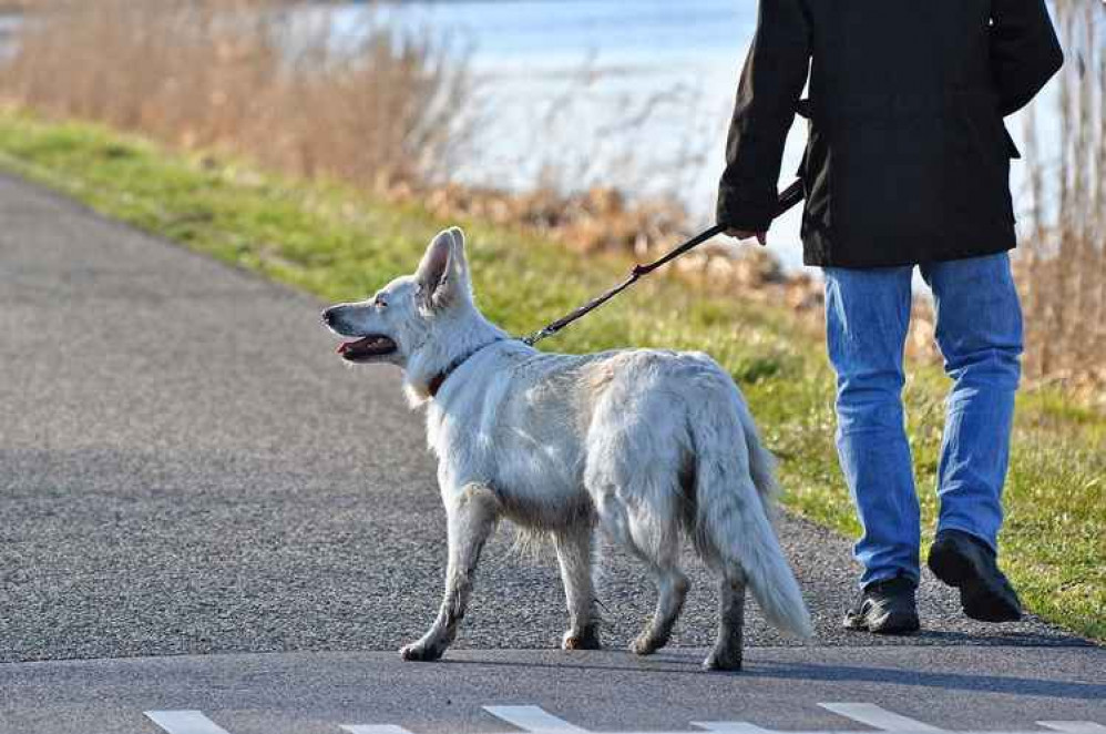 The thieves are impersonating RSPCA officers.