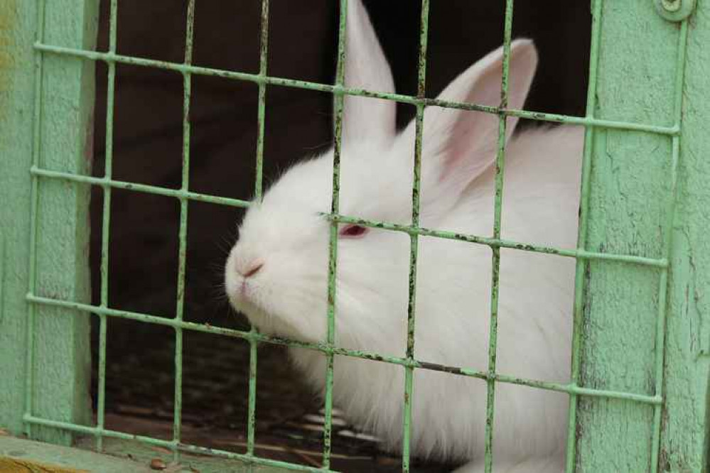 Plans for the Mylor Bridge rabbit farm have been refused.