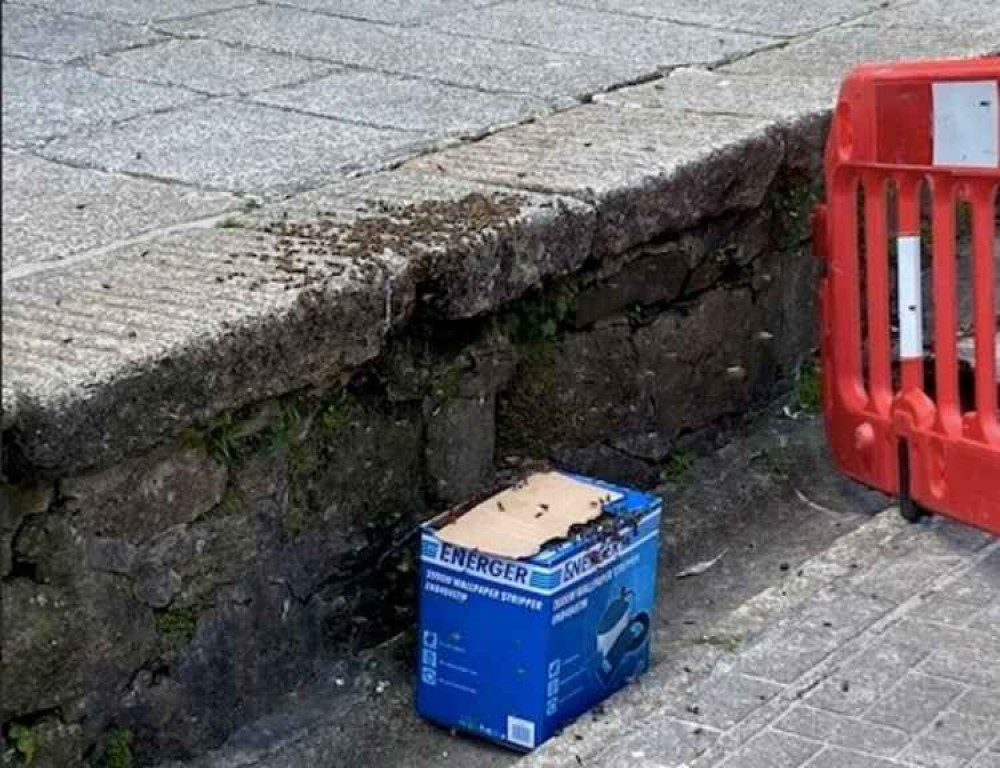 The bees in the town centre. Credit: Penryn Town Council.