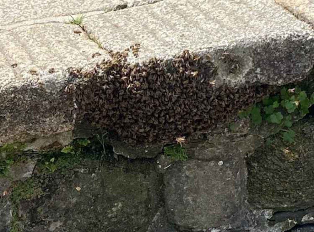 The bees in the town centre. Credit: Penryn Town Council.