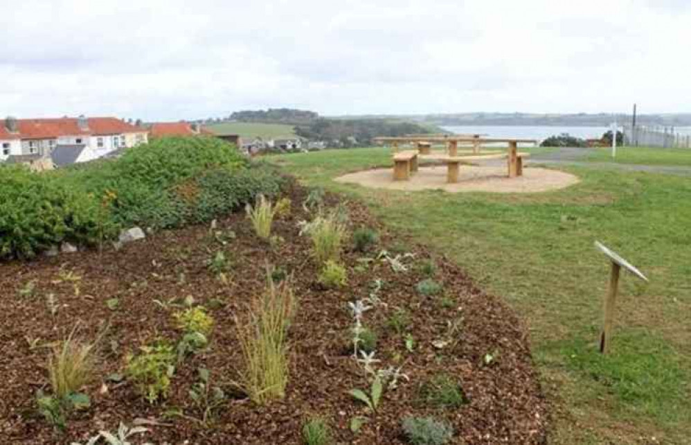 Making Space for Nature project at the Beacon in Falmouth