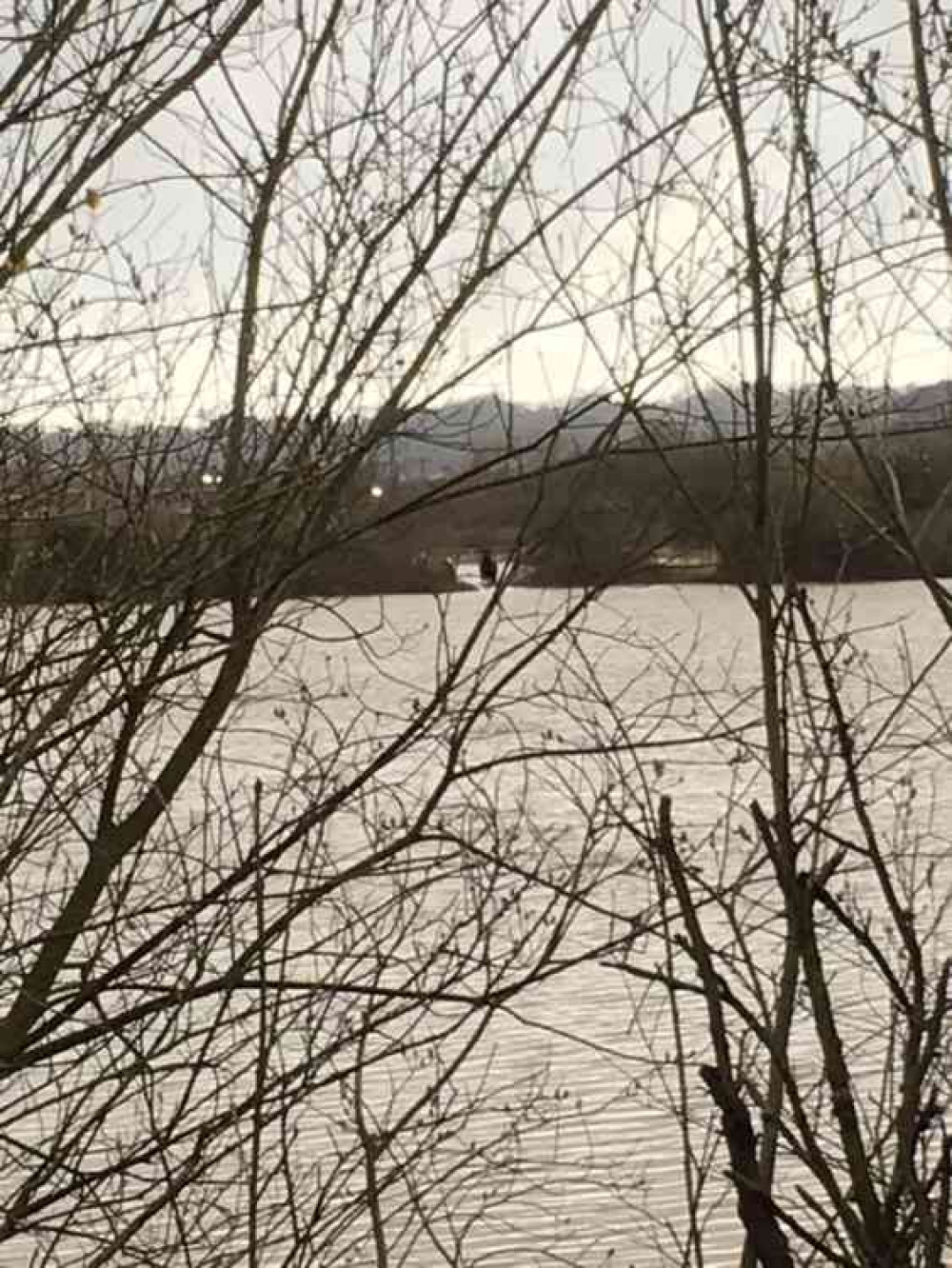 Horses Stuck in Sully Moors Field Flood Waters - Property of Claire Best