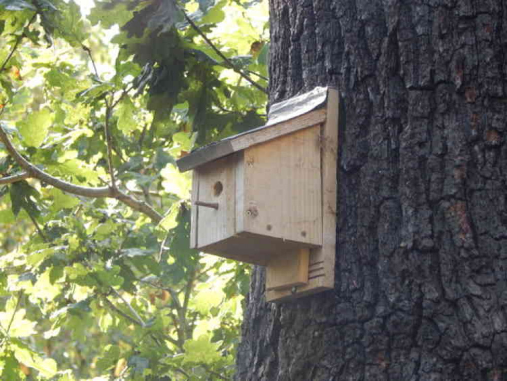 Hamish Griffin on Geograph