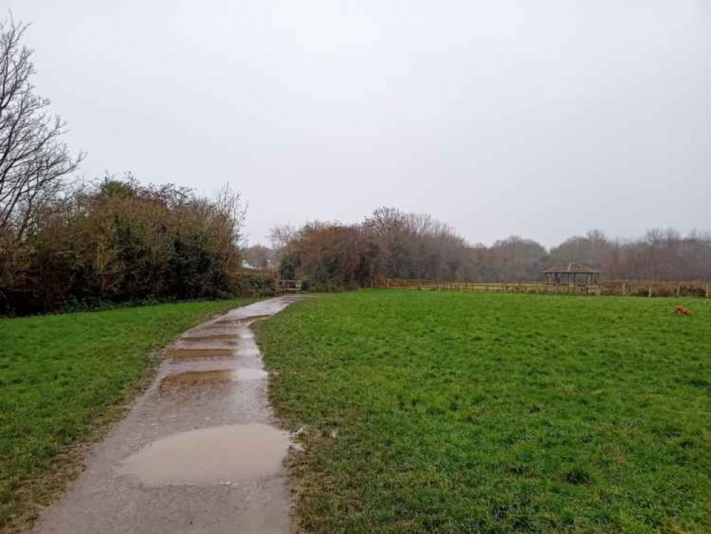 The spot in Cosmeston Park where Rocco was attacked