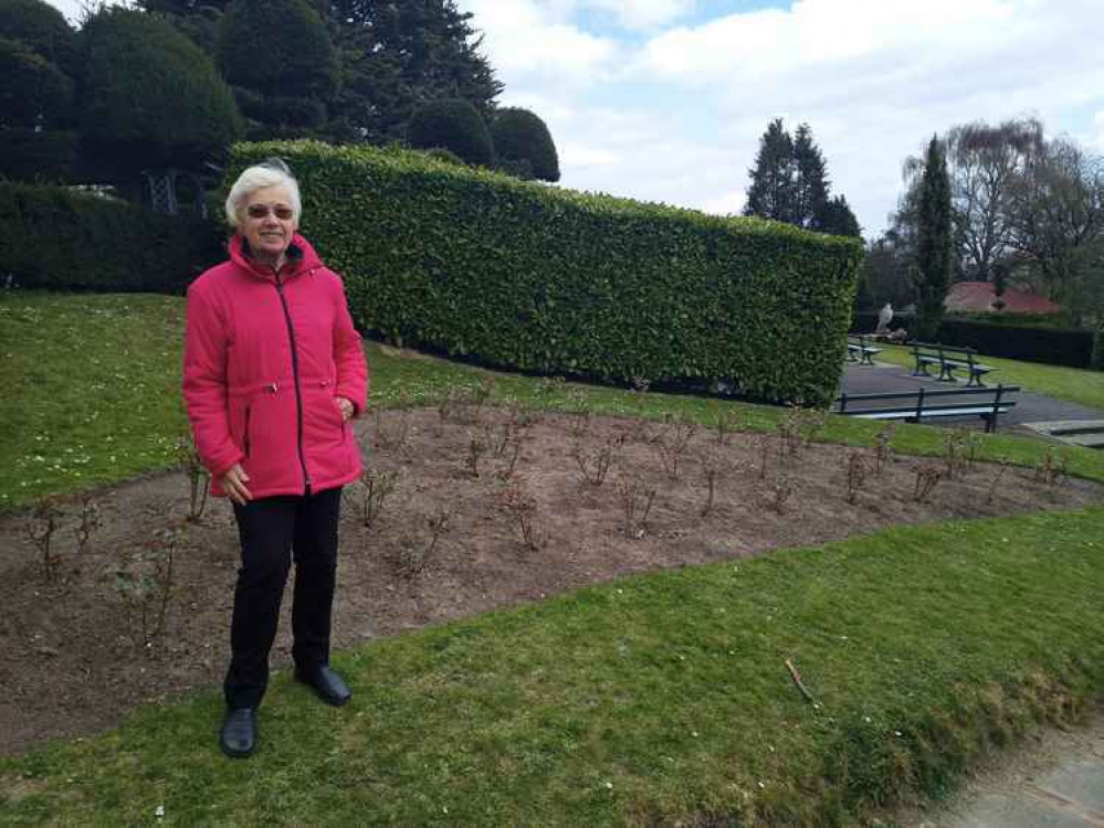 Barbro with the planted bushes