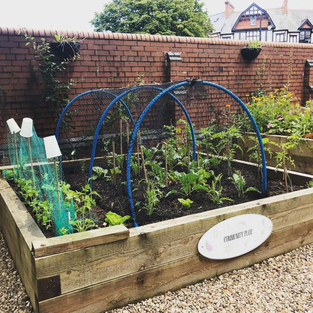 Penarth Growing Community's bed at West House