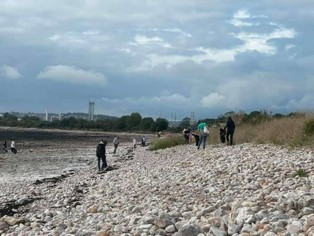 Volunteer litter pickers in Sully this weekend