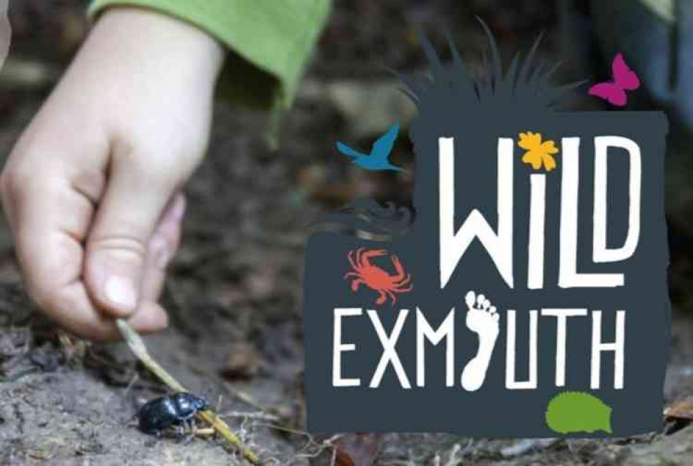 Image courtesy of Wild Exmouth. Image courtesy of Wild Exmouth.