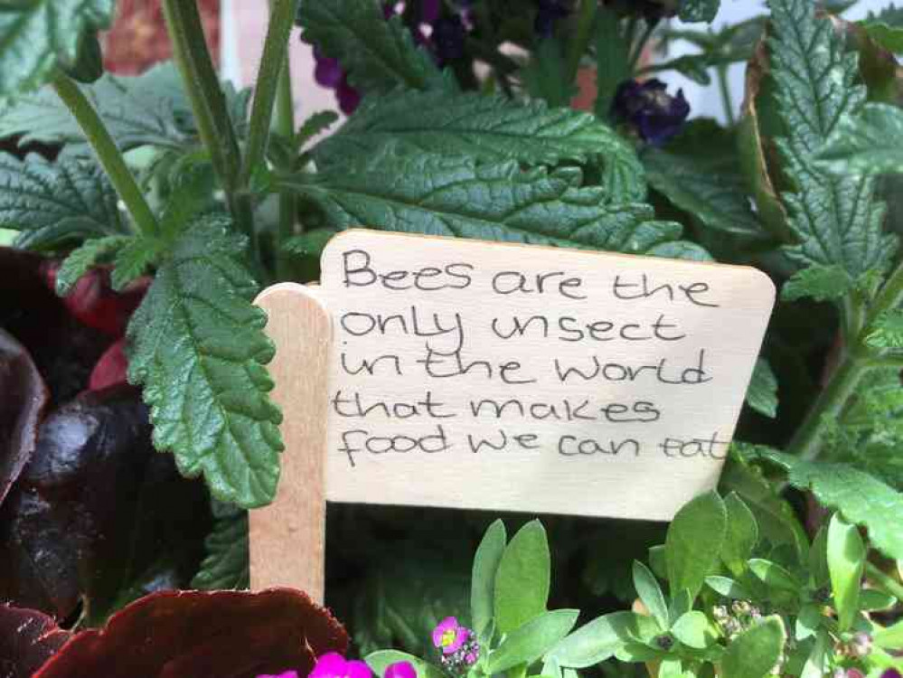 The window boxes were enhanced with models of bees, beehives, beekeepers and bee facts on miniature signposts. The window boxes were enhanced with models of bees, beehives, beekeepers and bee facts on miniature signposts.