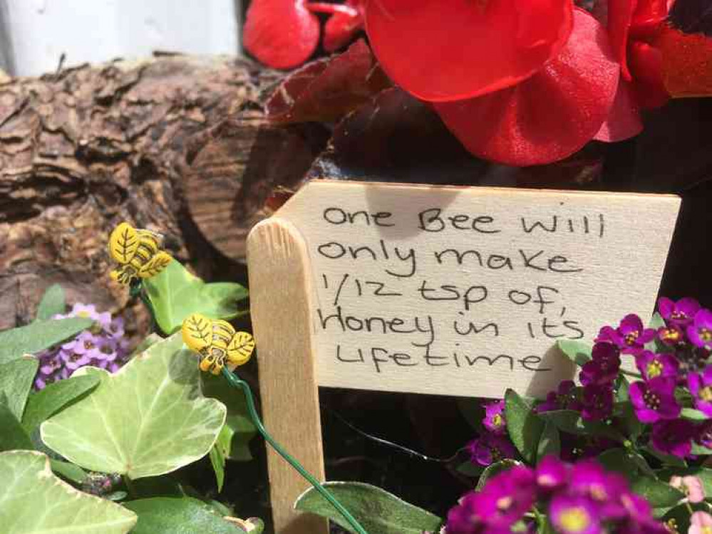 The window boxes were enhanced with models of bees, beehives, beekeepers and bee facts on miniature signposts. The window boxes were enhanced with models of bees, beehives, beekeepers and bee facts on miniature signposts.