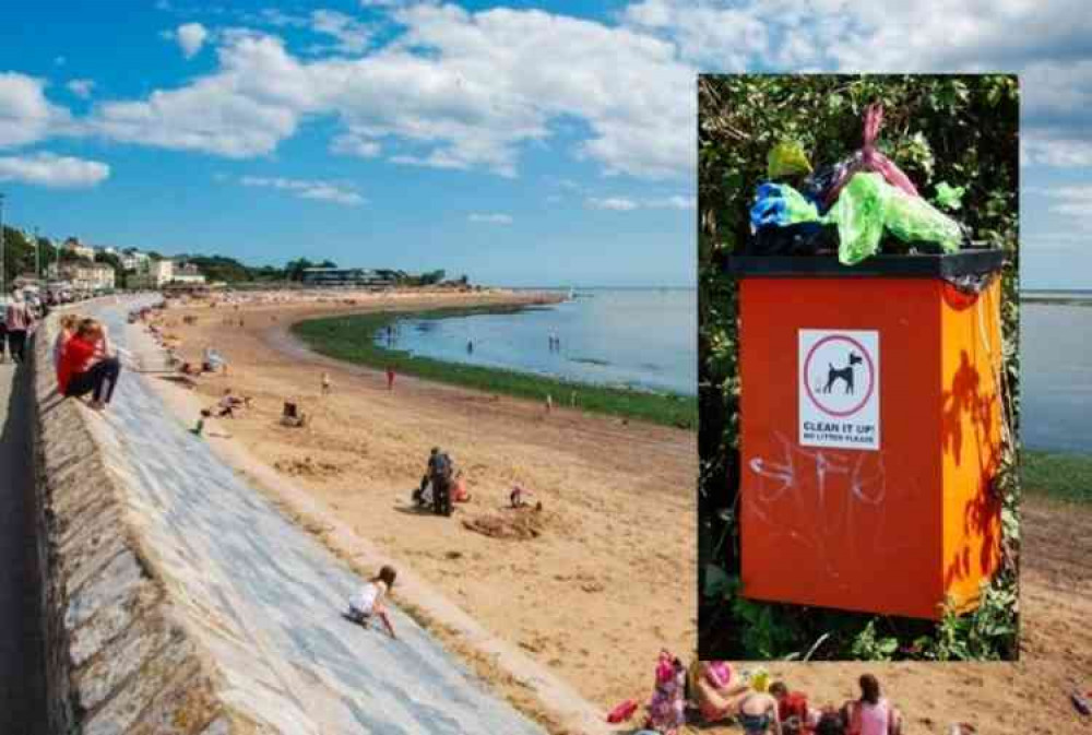 Exmouth Seafront. Image courtesy of Eugene Birchall. Stock image of dog waste bin courtesy of Ian S.