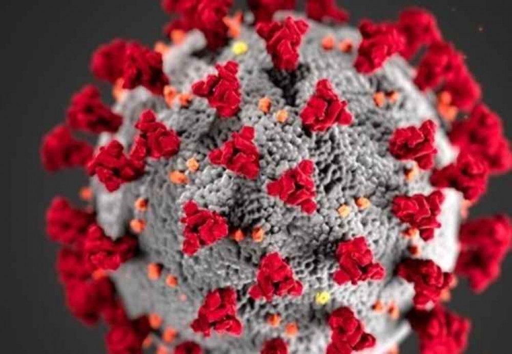 A COVID-19 cell. Image courtesy of DCC. A COVID-19 cell. Image courtesy of DCC.