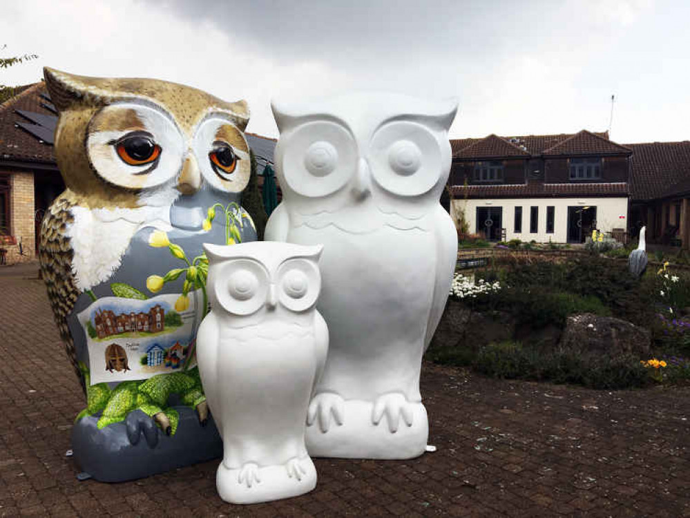 Big and little Hoots (Picture credit: St Elizabeth Hospice)