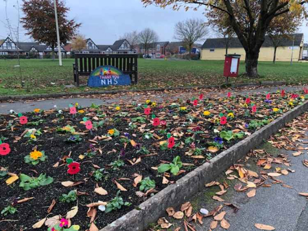 Ceremonial poppies in the flower beds by Haslington's Millennium Stone.