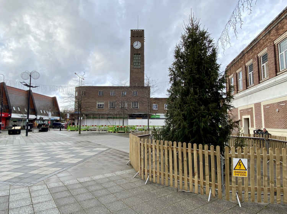 Trees are in place in Town Square. (Picture: Jonathan White)