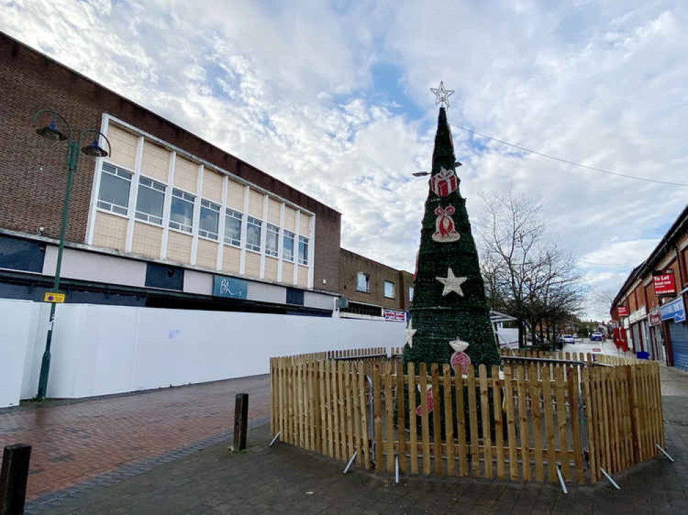 Trees are in place in Town Square. (Picture: Jonathan White)