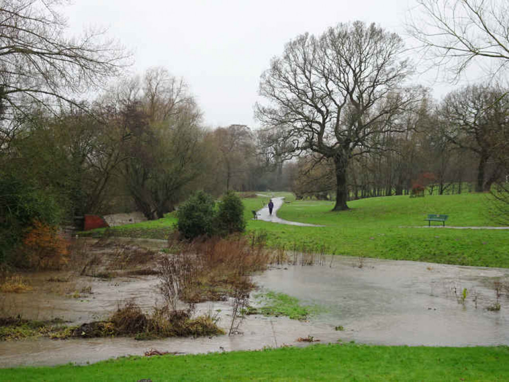 Joey the Swan under water after Wistaston Brook broke its banks. (Photo: Jonathan White)