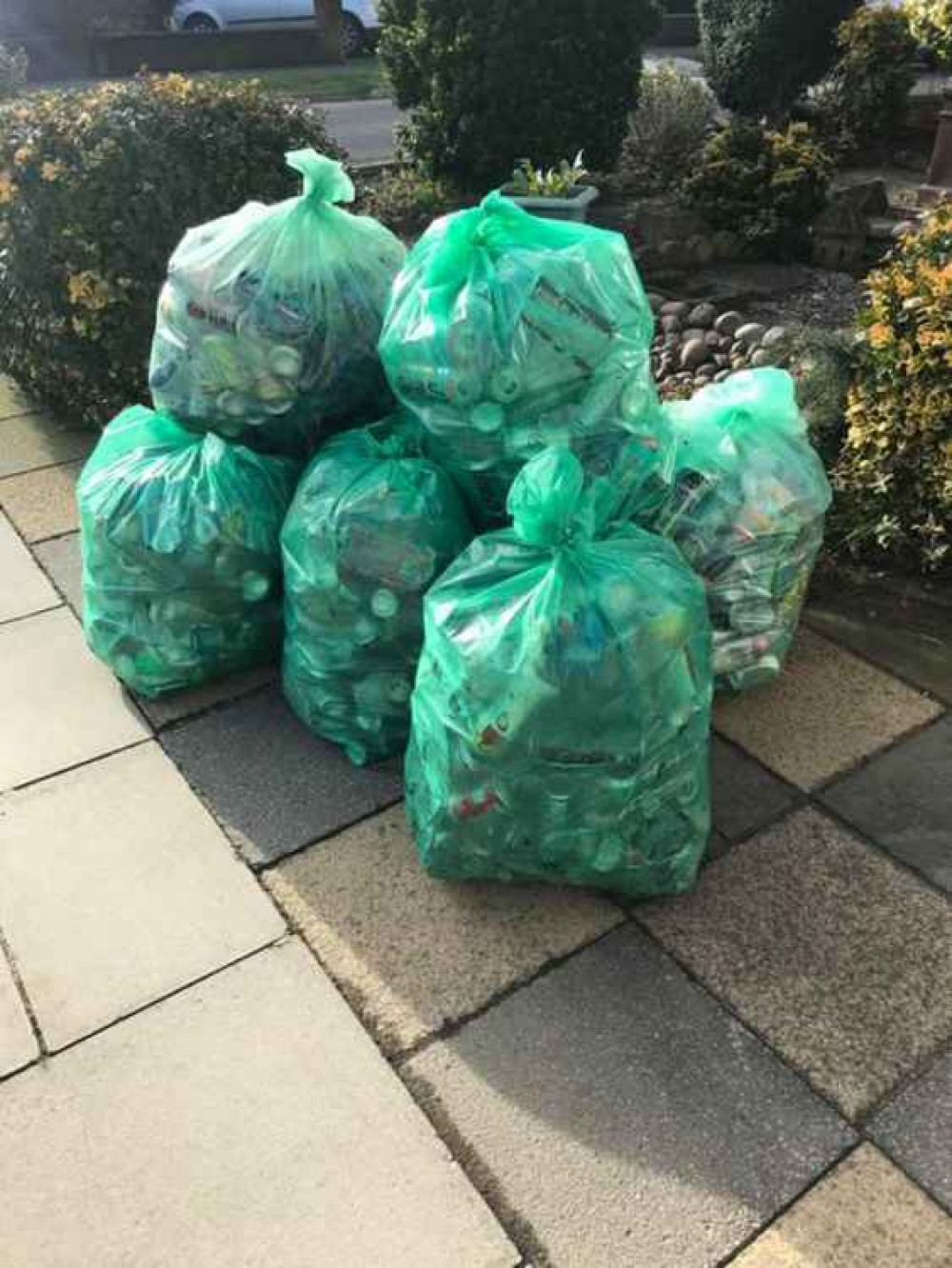 Cans collected by a couple of members this year.