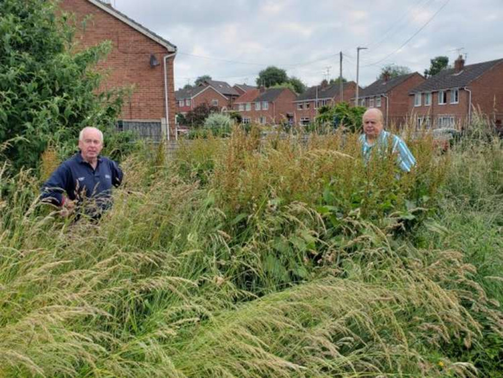 Southbank Avenue Resident Nigel Wheeler and Shavington councillor David Marren in the long grass.