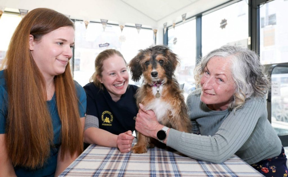 Malla with - Left to right - Nurse Rachel Williams, Clinical director/veterinary surgeon Rhiannon Mansell and owner Barbara Beauchamp - Picture: Rick Matthews