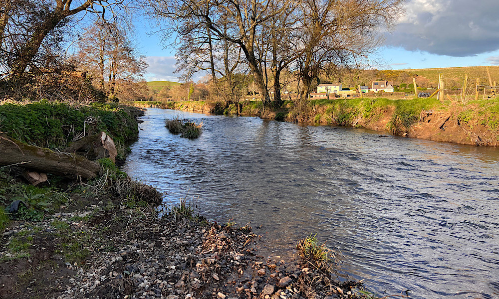 Trees have been cleared from the River Coly at the Peace Memorial playing field
