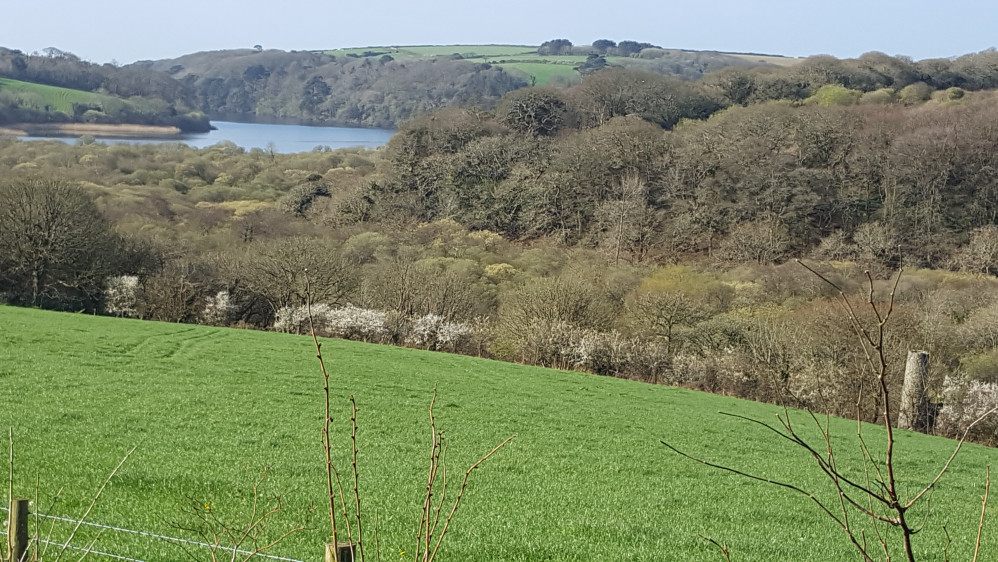 Looking down on the Loe