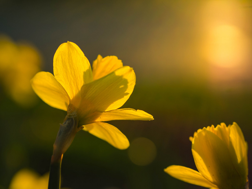 Letchworth temperatures are expected to be above average - and could be very warm come Good Friday. CREDIT: Unsplash Letchworth temperatures are expected to be above average - and could be very warm come Good Friday. CREDIT: Unsplash