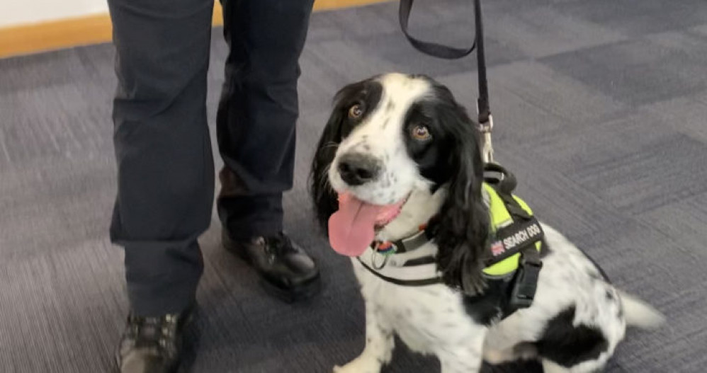 K9 Deployment visited students at the Sir John Colfox Academy