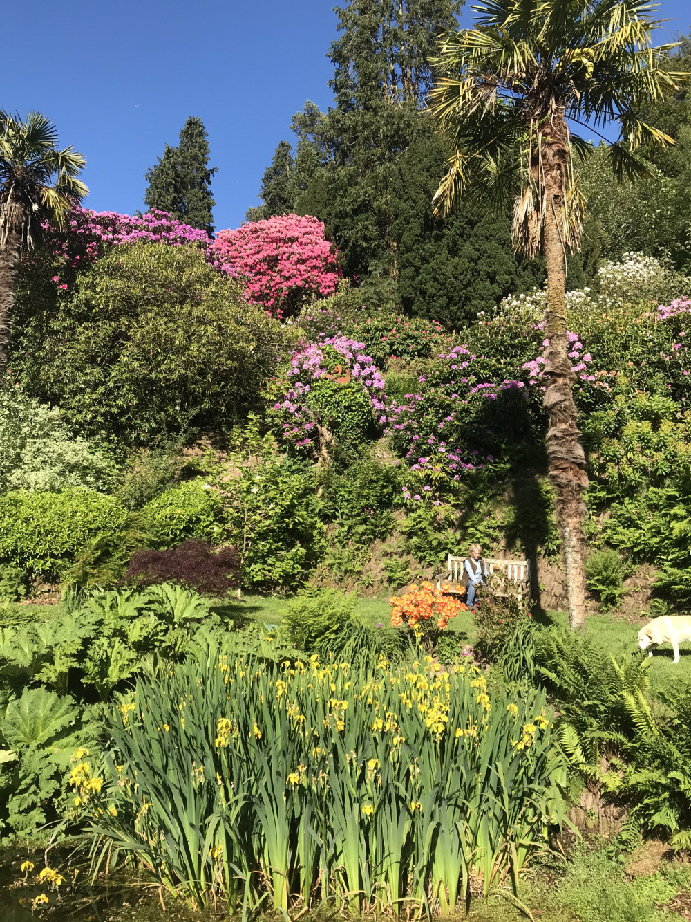 Glorious gardens Glorious gardens
