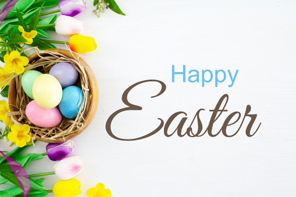 Have an egg-cellent day Have an egg-cellent day