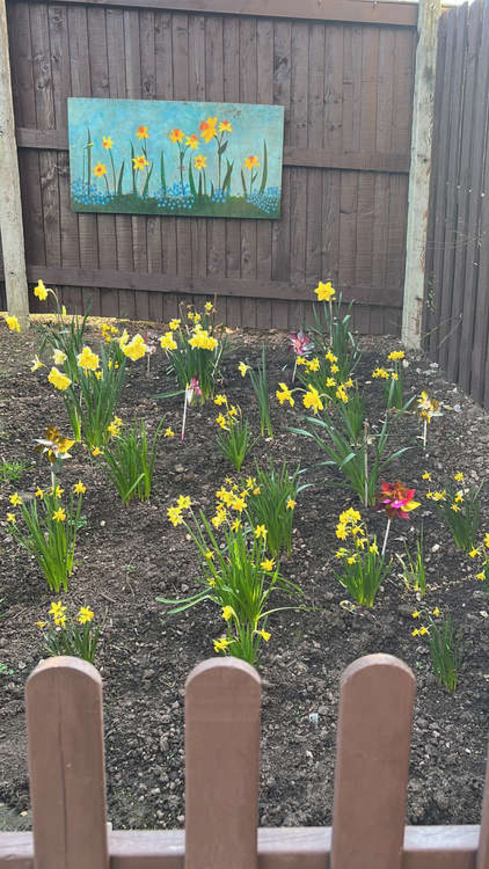 A 'sea of daffodils' was created in the village's garden.