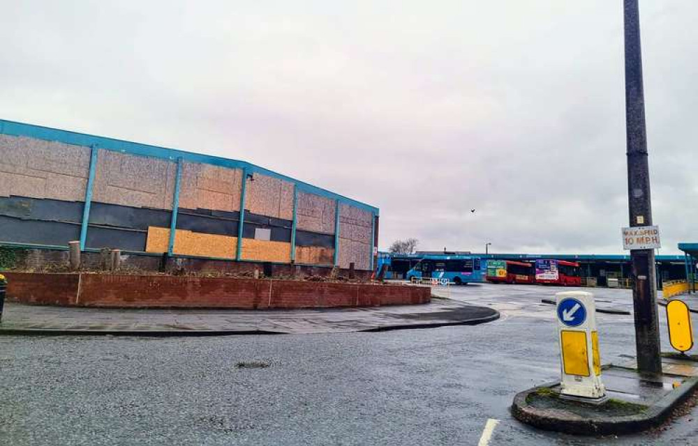 Trees cut down at the derelict bus depot. (Picture credit: Ryan Parker)