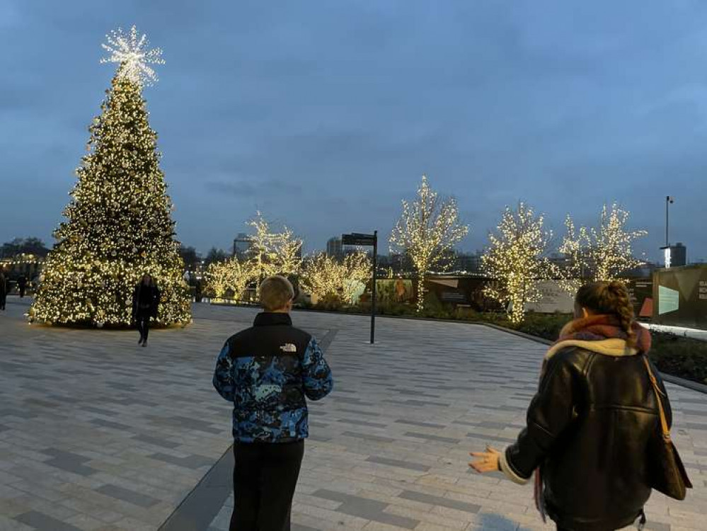 Last year's giant Christmas tree (credit: Lexi Iles)