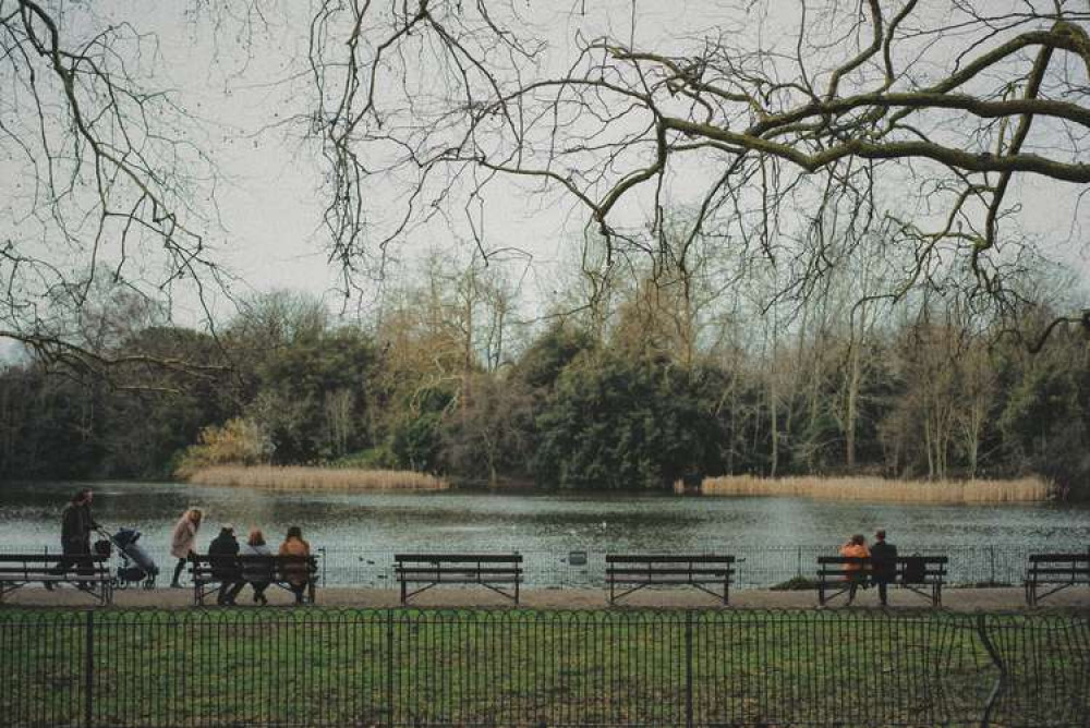 A grey day by the ponds in the park (credit: Unsplash)