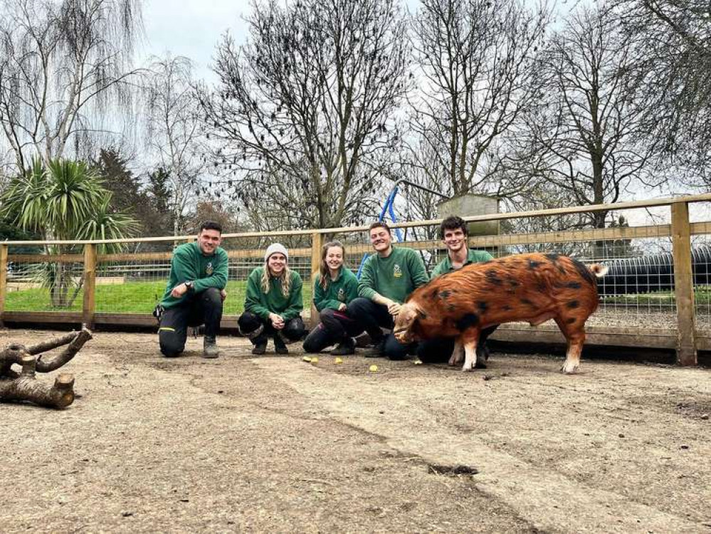 An opportunity to work closely with the zoo's dedicated staff (credit: Battersea Park Children's Zoo)