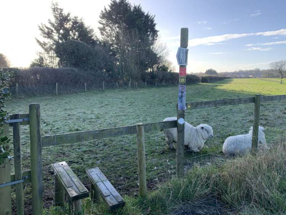 Go over the stile immediately on your left