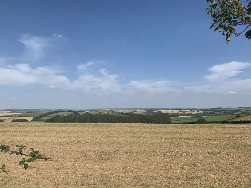 Dorchester breakfast briefing: What's on, roadworks, opening times and more Dorchester breakfast briefing: What's on, roadworks, opening times and more