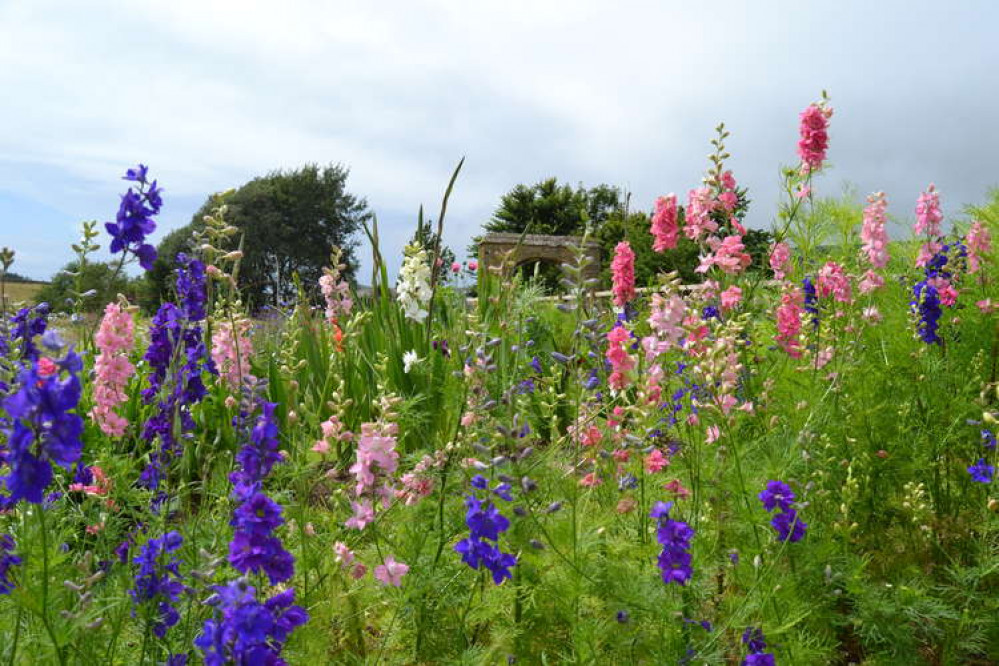 Pick your own Mother's Day bouquet with Abbey Farm Flowers Pick your own Mother's Day bouquet with Abbey Farm Flowers