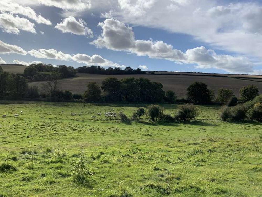 Dorchester breakfast briefing: What's on, roadworks, opening times and more Dorchester breakfast briefing: What's on, roadworks, opening times and more