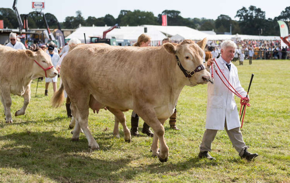 Dorset County Show will be back in Dorchester this September