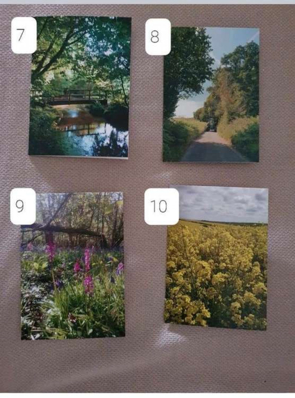 Some of the cards from Rachel's Hidden Dorset range Some of the cards from Rachel's Hidden Dorset range