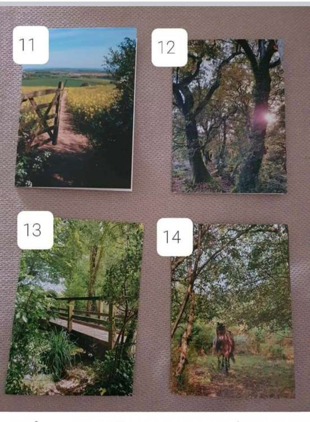 Some of the cards from Rachel's Hidden Dorset range